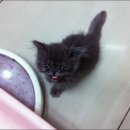 노룬산동물병원 이미지