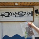 이쁜선물가게 | 묵호 소품샵추천 논골담길 무코야선물가게 주차 및 내돈내산 후기