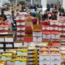 농수산물도매시장 과일동-2 이미지