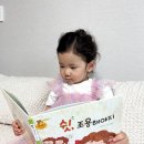 5세 전집 유아 도서 재미둥이 인성동화
