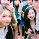 ROAD FC 이미지