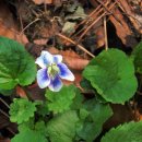 종지농장 이미지