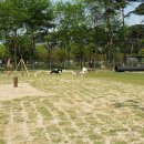 놀이터 PC 이미지