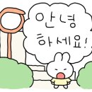 오아시스카랜드 이미지