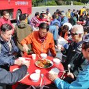 효도 권장비 이미지