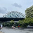 가든 오브 클라우드 | 싱가포르 가든스바이더베이 슈퍼트리쇼 입장권 플라워돔 클라우드포레스트 쥬라기 디즈니 소요시간