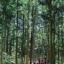 이숲 - 괴산군 읍내로15길 3-4 | 이숲