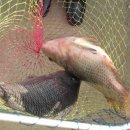 역돔낚시터 이미지