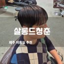 살롱드 청춘 이미지