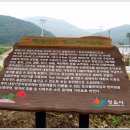 천년가요 이미지