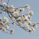 창신1길 이미지