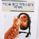 비트복싱