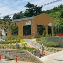 CAFE 247 이미지