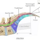 타브로항외과의원 | 편안하고 안전한 치료, 타브로항외과입니다