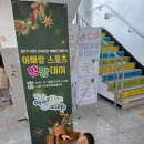 댄스스포츠(주간) | 인천 100인의 아빠단 해단식 후기(아빠랑 스포츠 팡팡데이)