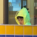 감성발달 꼼이놀이(8~12개월) | 속초 오션뷰 호텔 카시아+키즈카페 +스카이파크+설악항맛집+29개월아이와함께하는 여행