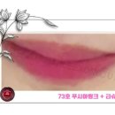 비비드인셀덤 | 💄 ICD 립틴트, 이번 달엔 꼭 득템해야 하는 이유!