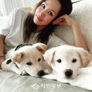 이쁘개 이미지