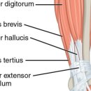 상봉그린한의원 이미지