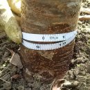 남천농장 이미지