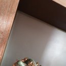 천년의정원 이미지