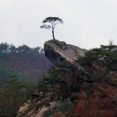 올산 조망 이미지