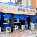 다복다복 이미지