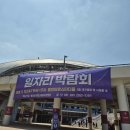 용인미르스타디움 오마이뉴스