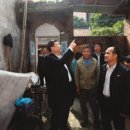 중화 이미지
