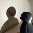 문경초등학교 이미지