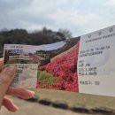 강나루주유소 네이버블로그
