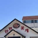 태안-안면-비상-4 | 태안 안면도 게국지 맛집 강복순의 안면꽃게 내돈내산 후기