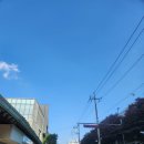 (유)아웃백스테이크하우스코리아 상무점 | [뽀시래기의 삶] 어느새 빼곡해진 일정표