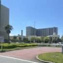 시노래 페스티벌 | 혼자 간 2025 일본 JAPAN JAM 재팬 잼 페스티벌 후기