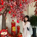 중국 칭다오 청도 바른투어 패키지 여행 후기 2탄