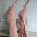 서해마트정육점 이미지