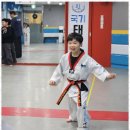 푸른태권도 이미지