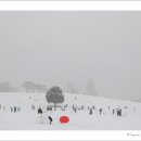 행복한세상 이미지