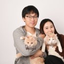 빵실스튜디오