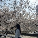 선거관리위원회 (건너) 이미지