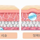 테라스의원 이미지
