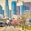 ARIA-DOLLS 이미지