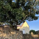 제주노을채 | 5개월 아기랑 제주 서쪽 실내자쿠지 독채 숙소 제주노을채