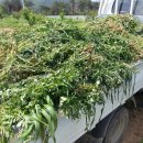 키다리농장 이미지