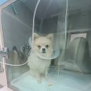 포항동물병원 이미지