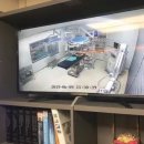 본 동물메디컬센터 외과동물병원 이미지