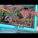 붕어랑메기랑 이미지