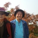 수봉초등학교 이미지