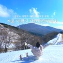 대관령마루길 | 강원도 겨울여행지 추천 대관령양떼목장 꿀팁