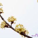 새싹목장 이미지